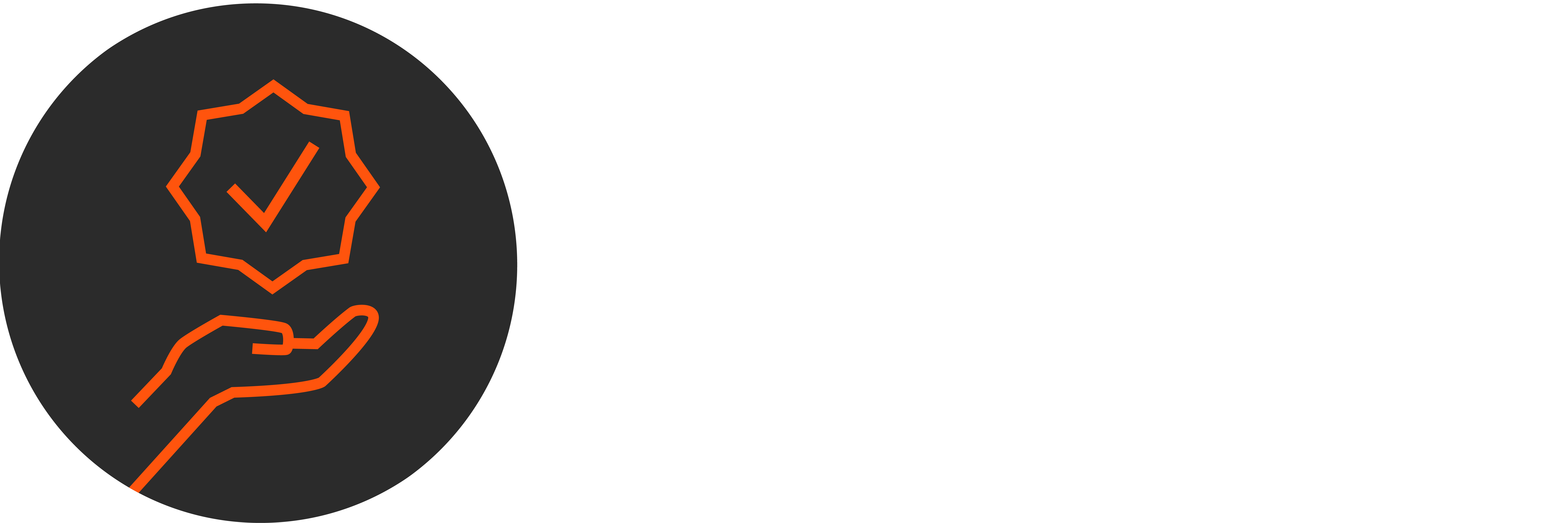 Scheibner website grafiken 251127 gewährleistung