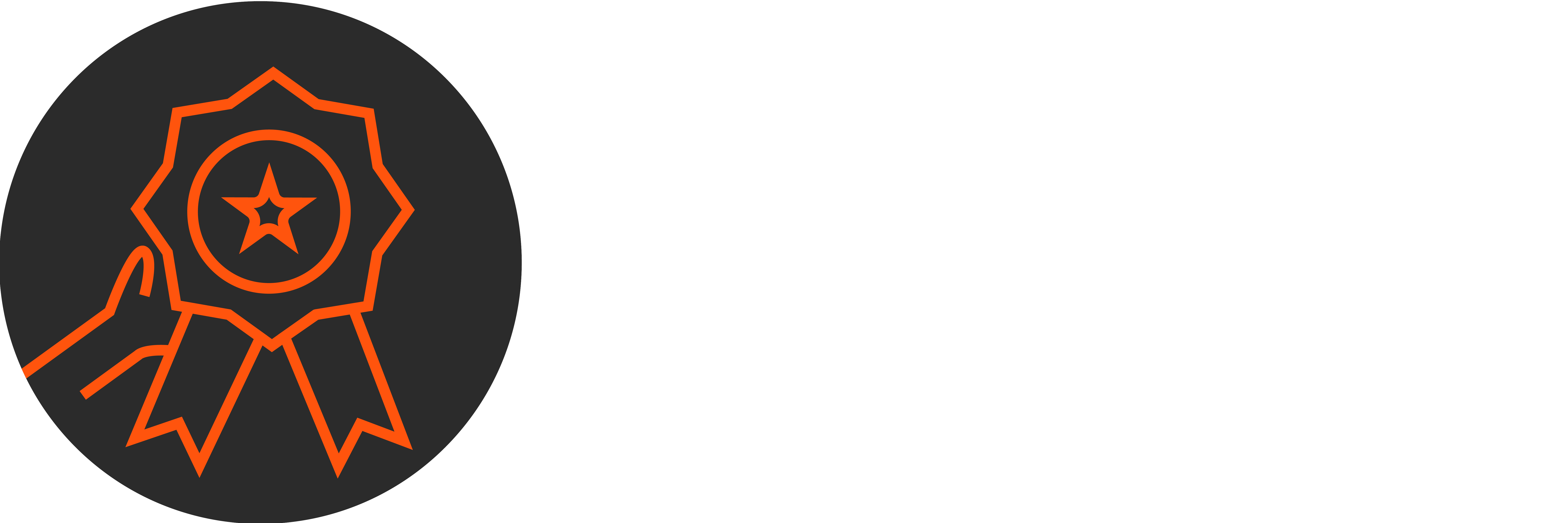 Scheibner website grafiken 251127 klarheit Kopie 4