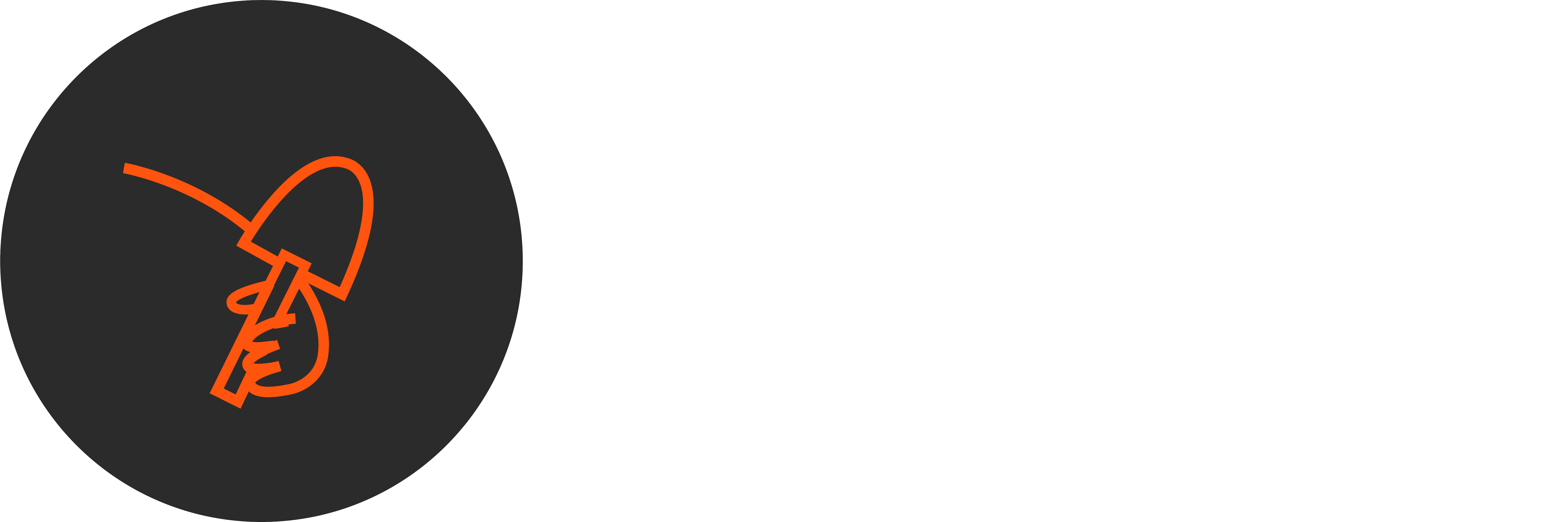 Scheibner website grafiken 251127 material