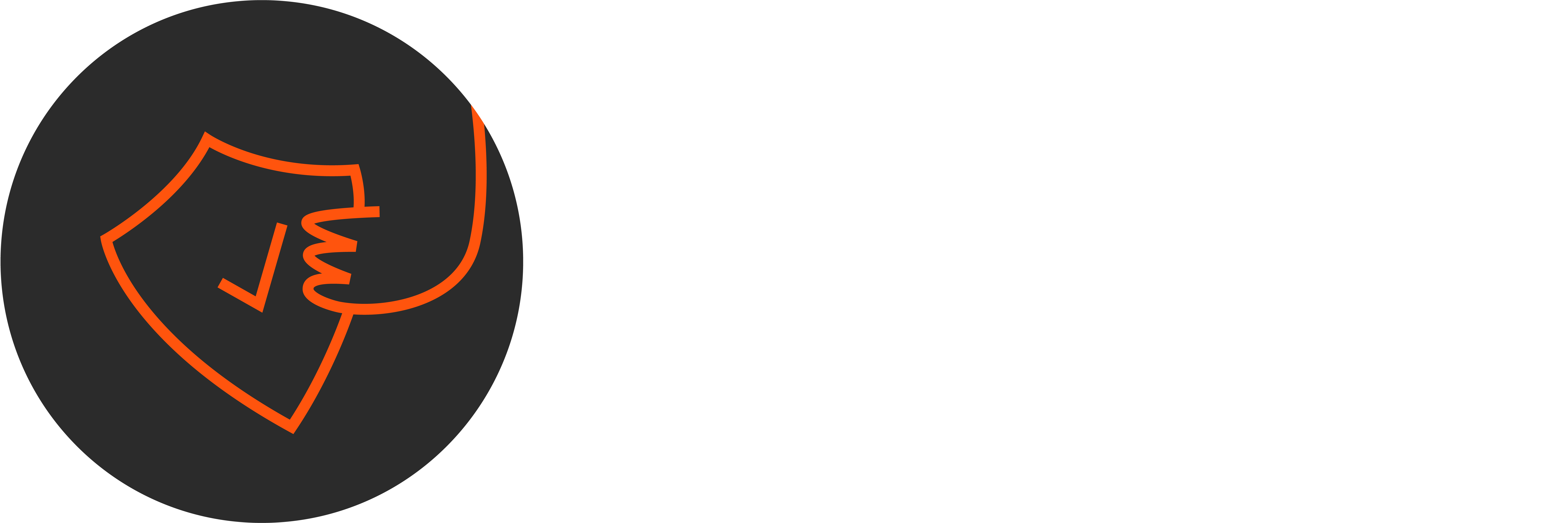 Scheibner website grafiken 251127 risikominimierung 30