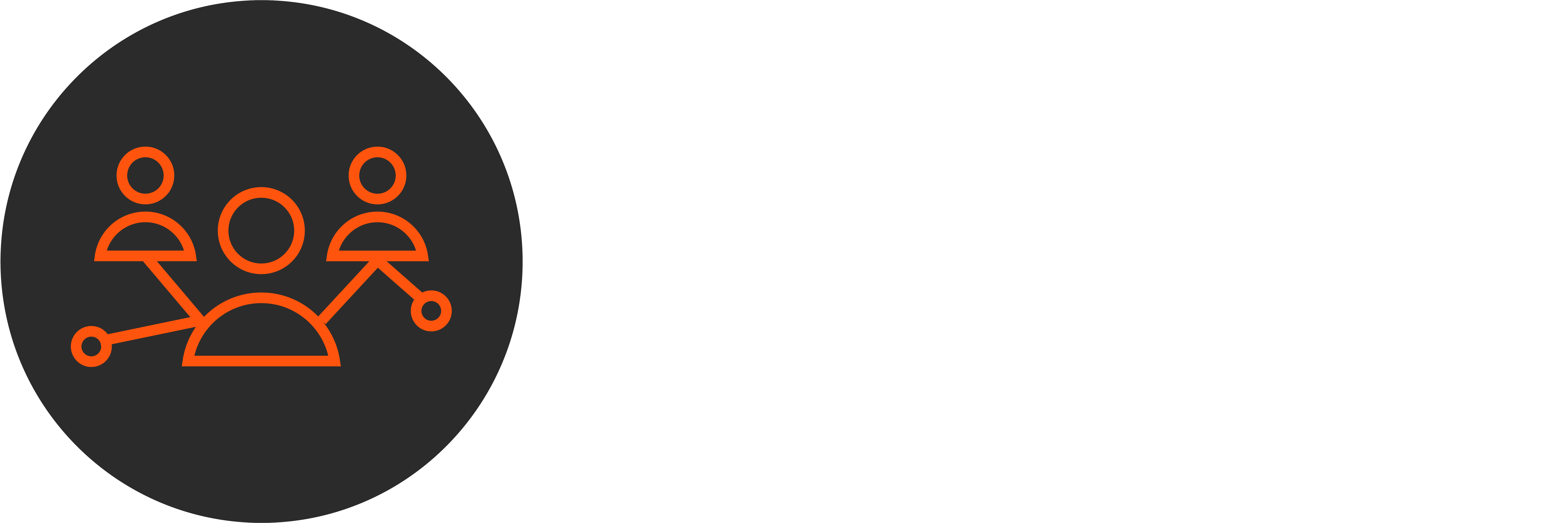 Scheibner website grafiken 251127